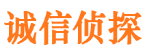 崇阳外遇调查取证